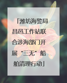 潍坊海警局昌邑工作站联合涉海部门开展“三无”船舶清理行动
